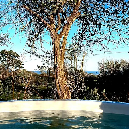 Le Petit Nid, Vue Mer, L'ile De Tatihou Avec Jacuzzi 펜션 La Pernelle